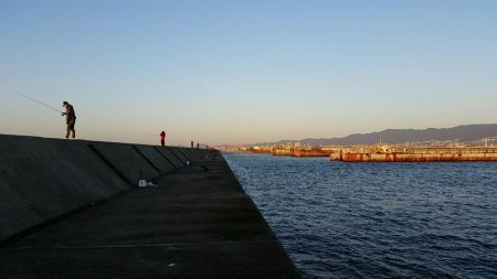 ムコイチ朝マズメ、ボチボチでした。